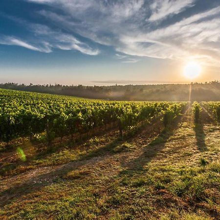 Апартаменты Il Palco Montepulciano, Vista Incredibile, 150Mt Da Piazza Grande Экстерьер фото