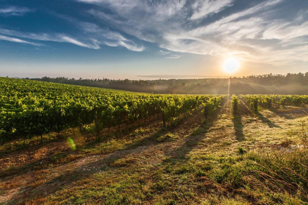 Апартаменты Il Palco Montepulciano, Vista Incredibile, 150Mt Da Piazza Grande Экстерьер фото